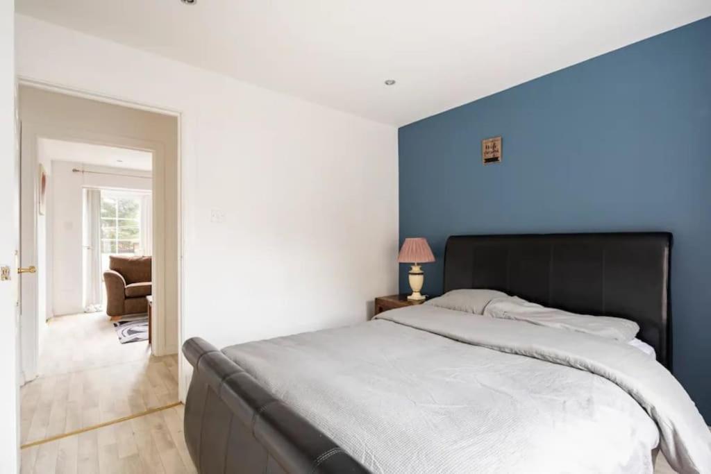 Lovely One Bedroom Flat. 贝尔法斯特 外观 照片